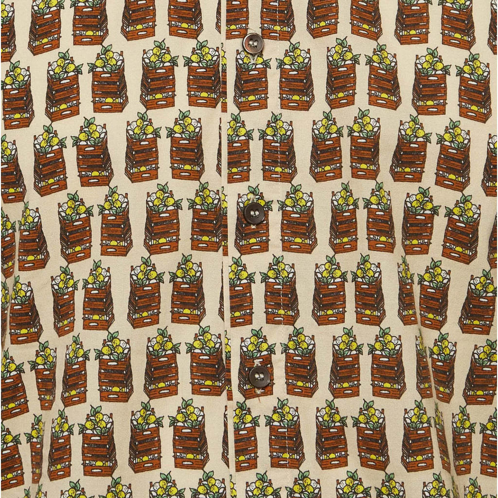 dolce & gabbana - g5ce4t-fsecl-limoni